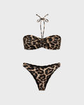 Cavalli Bikini